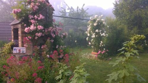 La Trémière – Photos 3