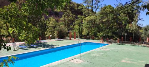 a large swimming pool in a yard with trees at Casas Cueva La Tala in Guadix