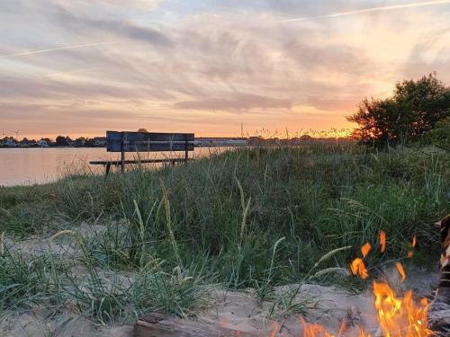 a bench sitting next to a fire next to a lake at FEWO Wiesenschlummerland Harriersand in Schwanewede