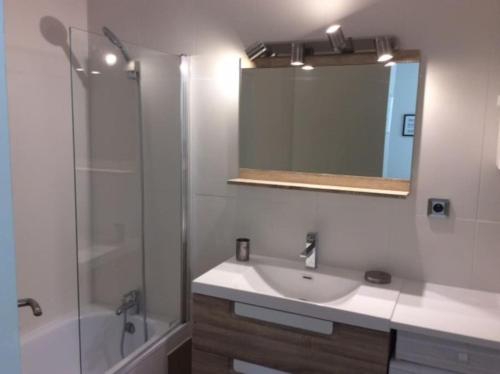une salle de bain avec un lavabo, une douche et un miroir dans l'établissement Studio climatisé avec petit jardin, à Villeneuve-lès-Avignon