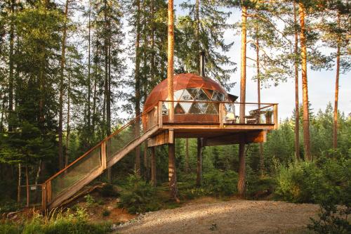 a tree house in the middle of a forest at Treehouse dome in Vidnes