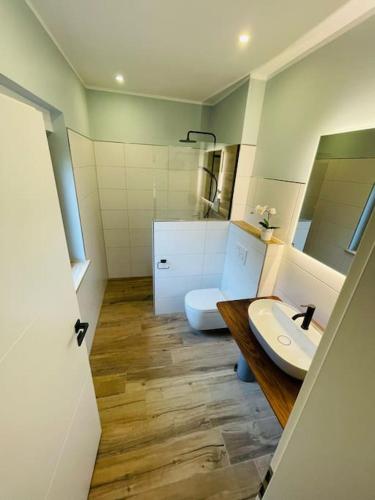 a bathroom with a sink and a toilet at Ferienoase Eisvogel in Malchin
