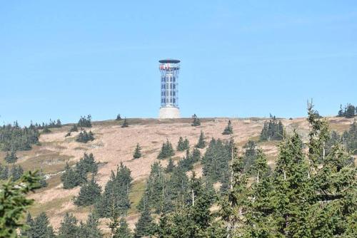 a lighthouse on top of a hill with trees at Chalupa Lilien pod Medvědí skálou Jeseníky in Jindřichov
