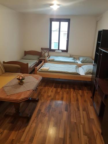 een woonkamer met een groot bed en een tafel bij Turistický apartmán ,pro 3-4os in Frenštát pod Radhoštěm