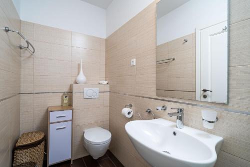 La salle de bains est pourvue d'un lavabo, de toilettes et d'un miroir. dans l'établissement Villa with Swimming Pool Tia&Ella, à Zaton