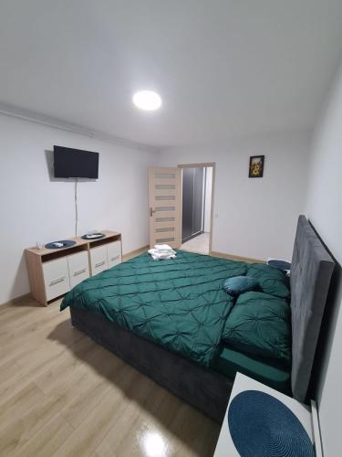 una camera con letto, scrivania e TV di Garsoniera Luxury Lorena a Piteşti