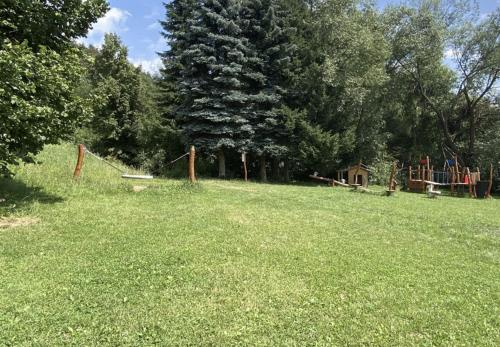 Ein Garten an der Unterkunft Apartmány Vltavanka