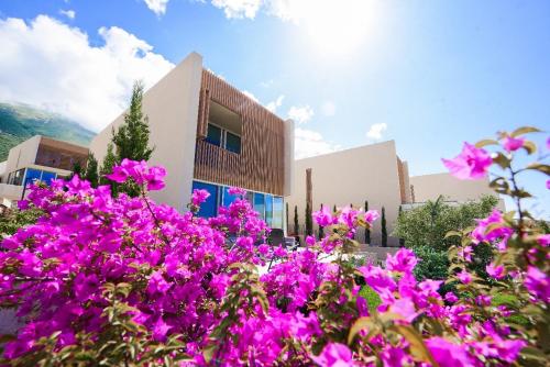 Deluxe TwoBedroom Villa Green Coast Palase