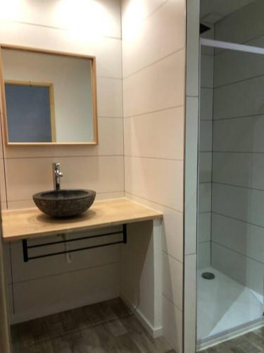 une salle de bain avec un lavabo, un miroir et une douche dans l'établissement Maison de village family friendly - Doucier, à Doucier