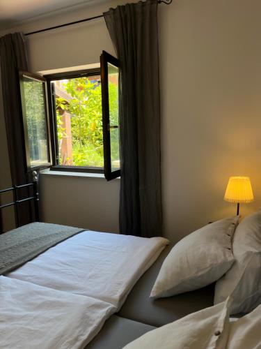 Φωτογραφία από το άλμπουμ του Apartmani Zora σε Cres