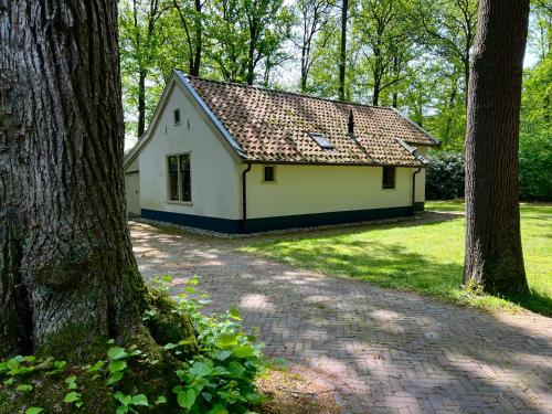 una piccola casa bianca in mezzo agli alberi di De Consistorie a Veenhuizen