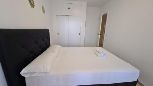 Apartamento Trinisol II 4 IF Benidorm