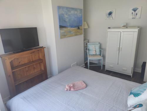 a bedroom with a bed and a flat screen tv at Bexhill Stunning 2 bedroom Sea Front Bungalow in Bexhill