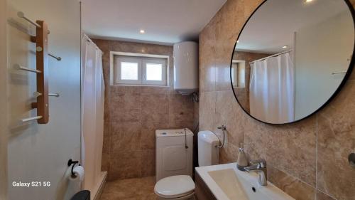 a bathroom with a mirror and a toilet and a sink at Apartment Rivarela BLU - newly renovated and top location near sea in Novigrad Istria