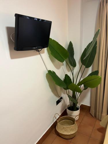 I AM La Posada Hotel and Apartment photo 210