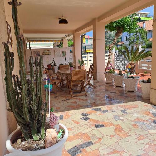 a patio with a cactus and a table and chairs at BOUGANVILLE casa vacanza ambiente climatizzato con wi fi in Pineto