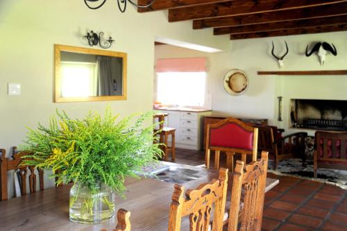 Gallery image of Wildevy house: Hemelsbreed farm in Greyton