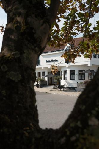 a tree in front of a white building at Luis von Weyden in Weiden am See