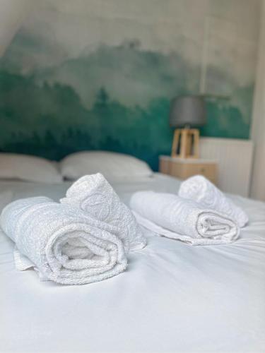 - deux serviettes assises au-dessus d'un lit blanc dans l'établissement Little Forest - MyCosyApart, Lac 900m, à Annecy