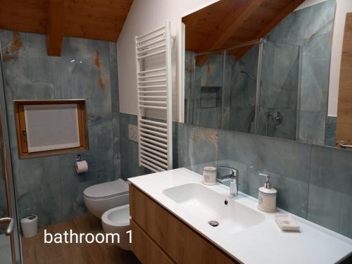 Appartamento Mansarda Patrizia e Franco Val di Sole في Deggiano: حمام مع حوض ومرحاض