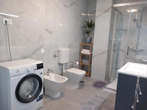 a bathroom with a washing machine and a toilet at Apartments Marijana in Zavalatica