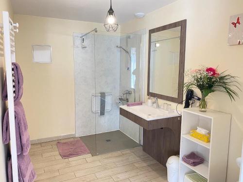 a bathroom with a sink and a shower with a mirror at Les Mariniers Chambres d'Hôtes in Mareuil-sur-Cher