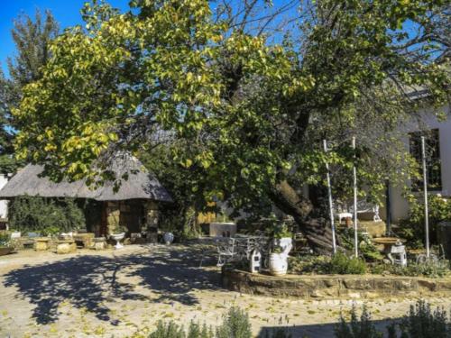 a building with a large tree and a house at The Green Acorn Guest House in Ficksburg