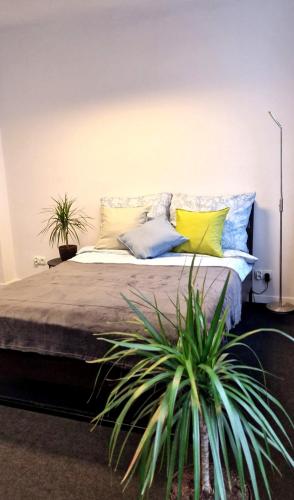 Przytulny prywatny pokój w ścisłym centrum Warszawy Pokój 4