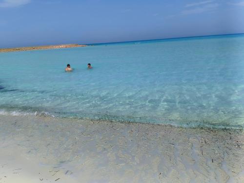 شاليه بقرية لازوردي باى