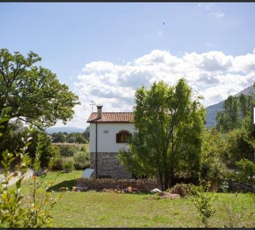 una pequeña casa blanca con un árbol en un campo en Casa Nella Natura, en Boiano