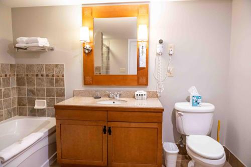 a bathroom with a toilet and a sink and a mirror at The Appalachian at Mountain Creek in Vernon