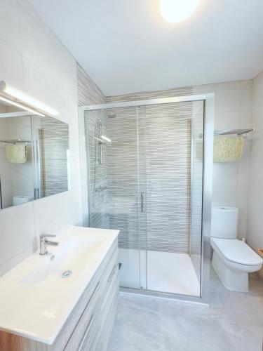 a bathroom with a shower and a sink and a toilet at Casa Mariñeira in Sanxenxo