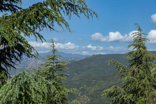 Φυσικό τοπίο κοντά σε αυτό το διαμέρισμα