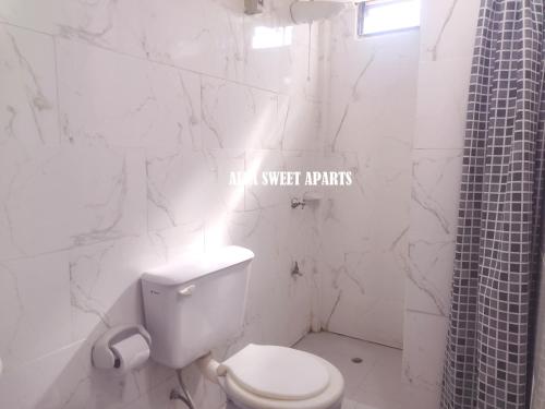 a white bathroom with a toilet and a shower at ALFA SWEET APARTS in Formosa