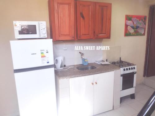 a kitchen with a white refrigerator and a microwave at ALFA SWEET APARTS in Formosa