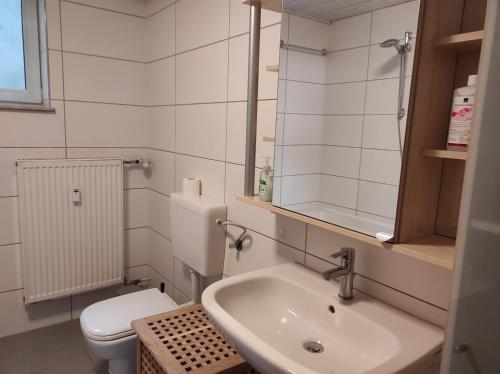 Apartment im Grünen, nähe A7, Legoland, 2 Schlafzimmer في فورينغن: حمام صغير مع حوض ومرحاض