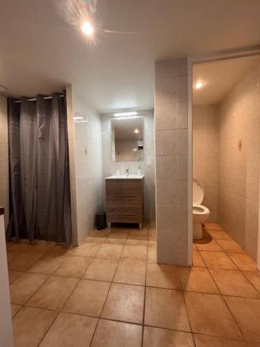 une salle de bain avec toilettes et lavabo dans l'établissement La Pierre Pourpre, à Eymet