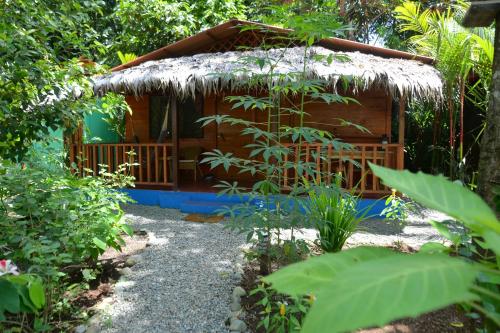 Κήπος έξω από το Casitas Las Flores