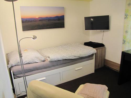 卡塞爾的住宿－Apartment "Hugo37" am Bergpark，小房间设有床铺和电视