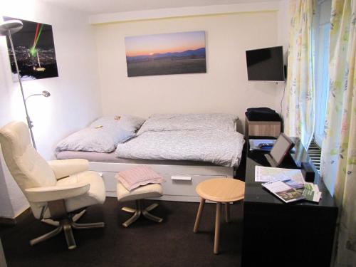 卡塞爾的住宿－Apartment "Hugo37" am Bergpark，卧室配有一张床和一张桌子及椅子