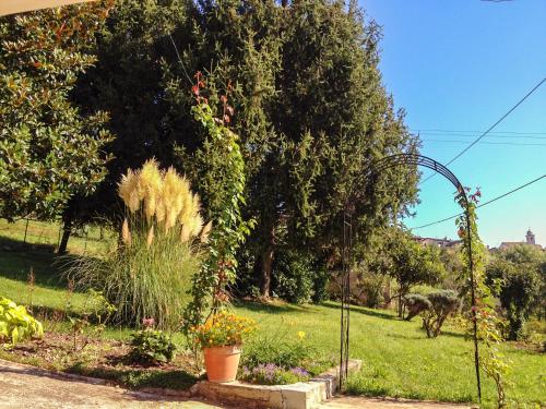 einen Garten mit Pflanzen und Blumen im Hof in der Unterkunft Villa Magnolia in Crosano