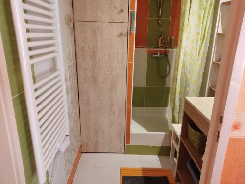 La salle de bains est pourvue de toilettes, d'une douche et d'une porte. dans l'établissement APPARTEMENT DE 24 M2 à BARBOTAN-Minimum 21 nuits-CLIMATISé #VACANCES#CURE--lac et piscine à 1 km, à Cazaubon