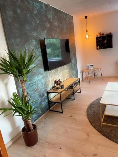 TV a/nebo společenská místnost v ubytování Casa del Stadil