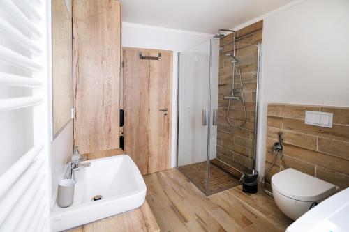 een badkamer met een toilet, een wastafel en een douche bij Apartmán Pod svahem in Loučná pod Klínovcem