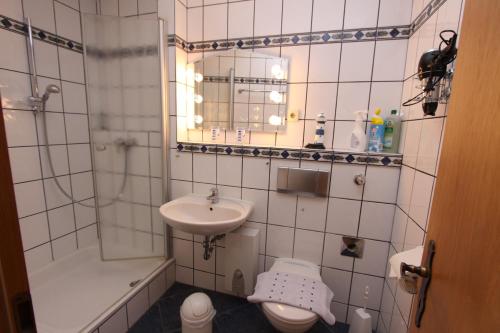 La salle de bains est pourvue d'un lavabo, de toilettes et d'un miroir. dans l'établissement Haus Seerose App 2 inkl WLAN, à Grömitz