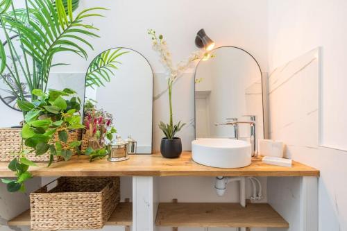 ein Badezimmer mit einem Waschbecken und Pflanzen auf einer Holztheke in der Unterkunft Merry Bail Centre ville Wifi in Douai