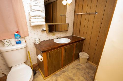 a bathroom with a toilet and a sink and a mirror at Fair Wind Motel and Cottages in Clayton