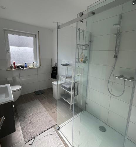 a bathroom with a glass shower and a toilet at Ferienwohnung FM Moselle in Reil