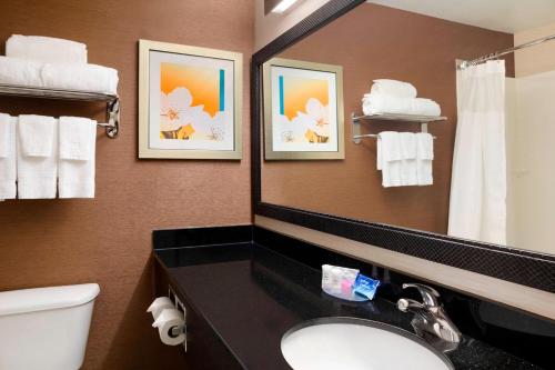 uma casa de banho com um lavatório, um WC e um espelho. em Fairfield Inn & Suites Minneapolis St. Paul/Roseville em Roseville