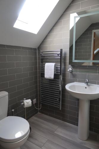 a bathroom with a sink and a toilet and a mirror at Sithean Beag in Portree